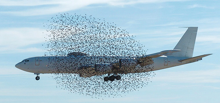 24 hours in pictures: U.S. Navy E-6B