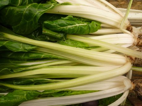 chard