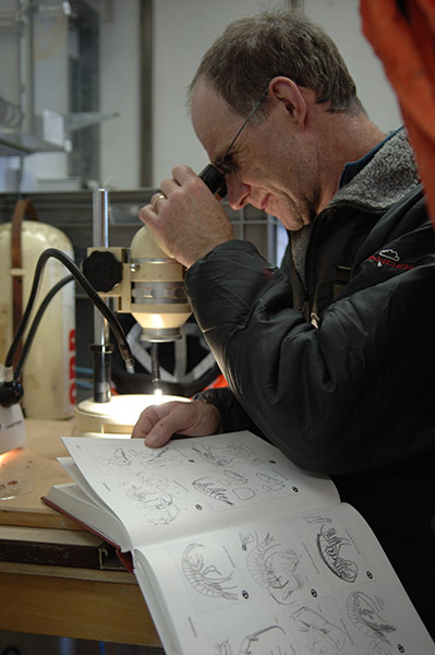 CAML: Census of Antarctic Marine Life  by British Antarctic Survey