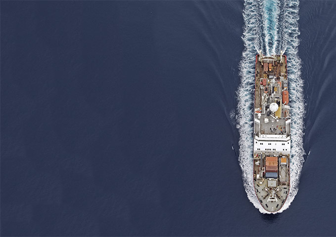 CAML: Census of Antarctic Marine Life  by British Antarctic Survey