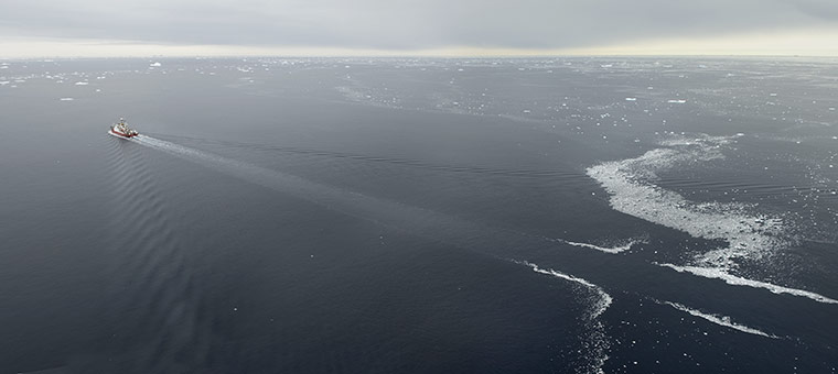 CAML: Census of Antarctic Marine Life  by British Antarctic Survey