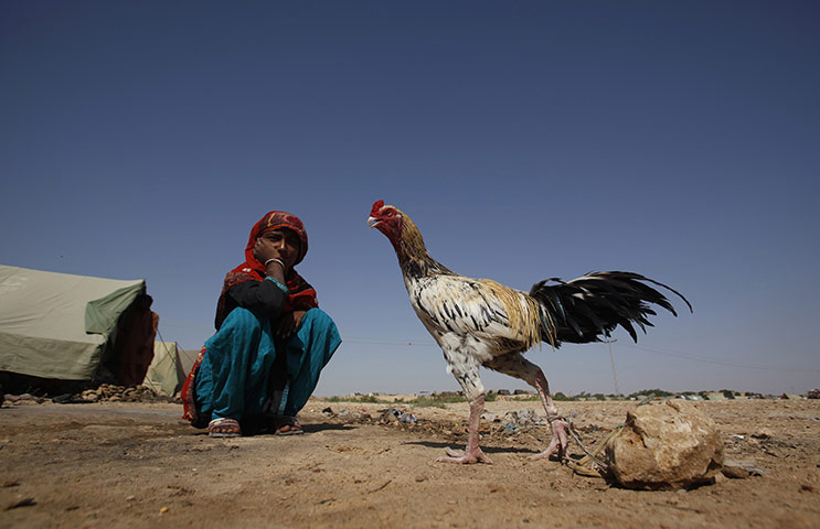 24 hours in pictures: Relief camp for flood victims in Jamshoro