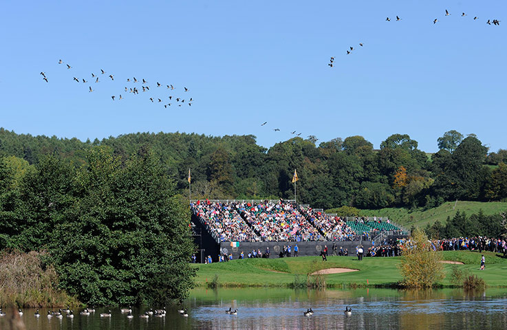 Ryder Cup 4 Jenkins: Geese fly over the 11th green Ryder Cup 2010 day four