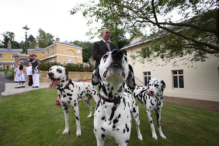 Wedding House: Wedding House Channel 4