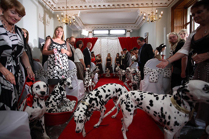 Wedding House: Wedding House Channel 4