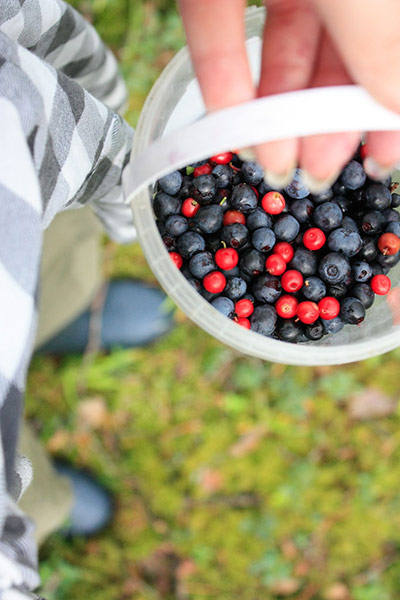 Green Shoots: Readers Flickr group on  harvest season