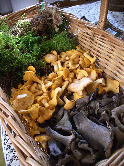 Green Shoots: Readers Flickr group on  harvest season