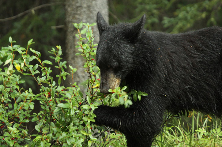 Green Shoots: Readers Flickr group on  harvest season