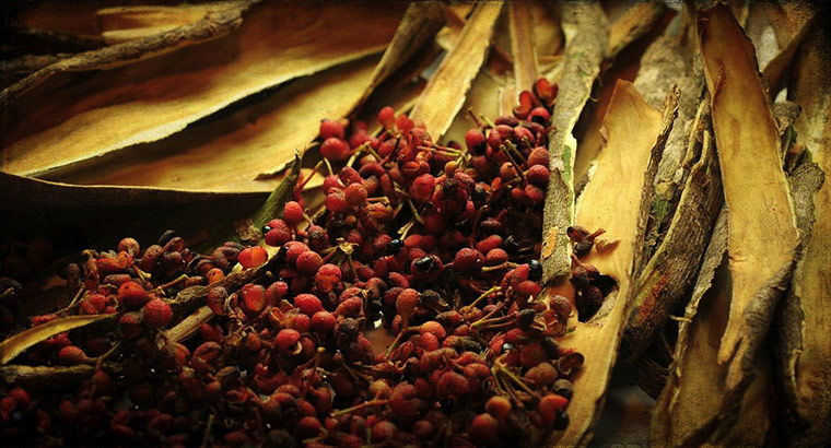 Green Shoots: Readers Flickr group on  harvest season