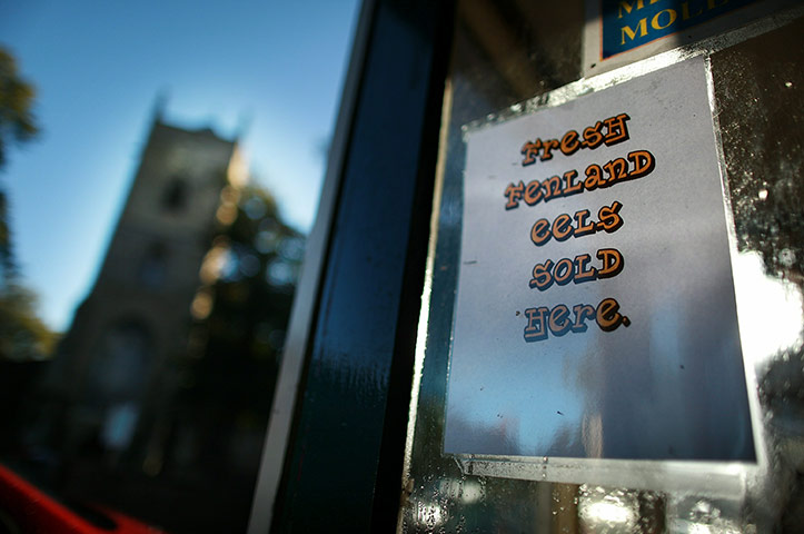 Eel fishing: Traditional eel fishing, Outwell, UK