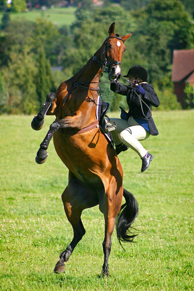 In Pictures: Action: Rider falling off horse