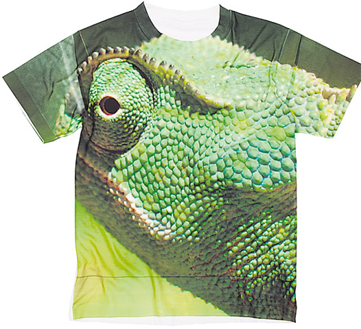 The briefing: The briefing