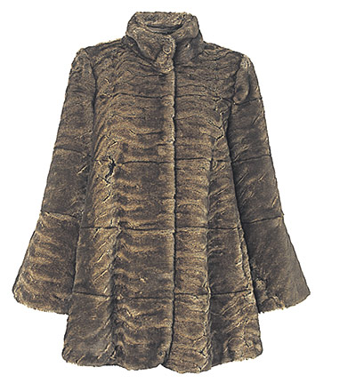 The briefing: The briefing