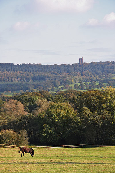 Selwood Living Landscape: Somerset Wildlife Trust exhibition