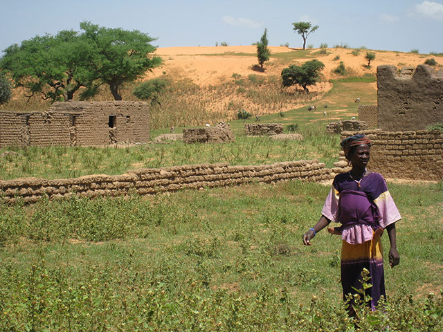MDG Mali: Desertification on the outskirts of the town of Annakila