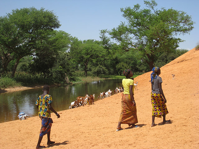 MDG Mali: Desertification on the outskirts of the town of Annakila