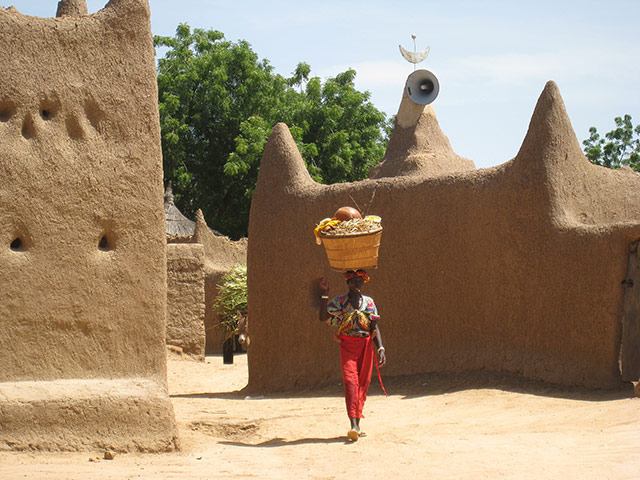 MDG Mali: Desertification on the outskirts of the town of Annakila
