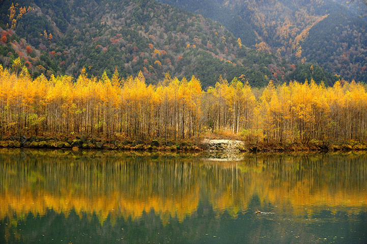 24 hours in pictures: Taishoike pond in Matsumoto city