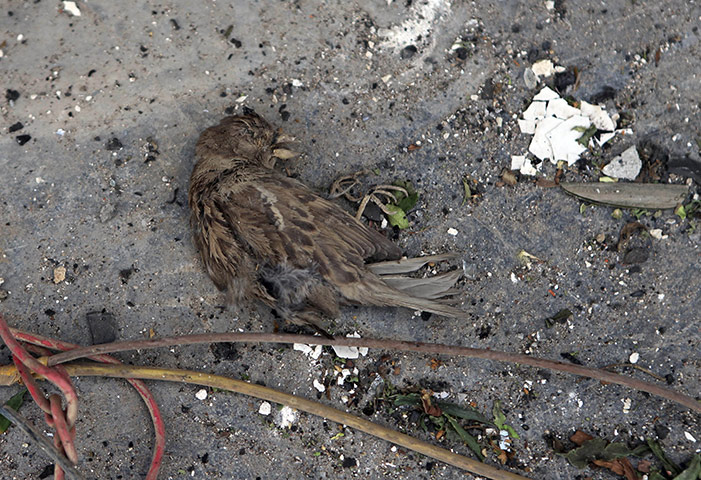 24 hours in pictures: christians attacked in baghdad