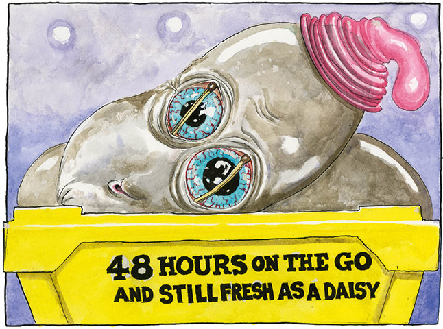 Bell on Cameron: David Cameron's epic finish to his election campaign.