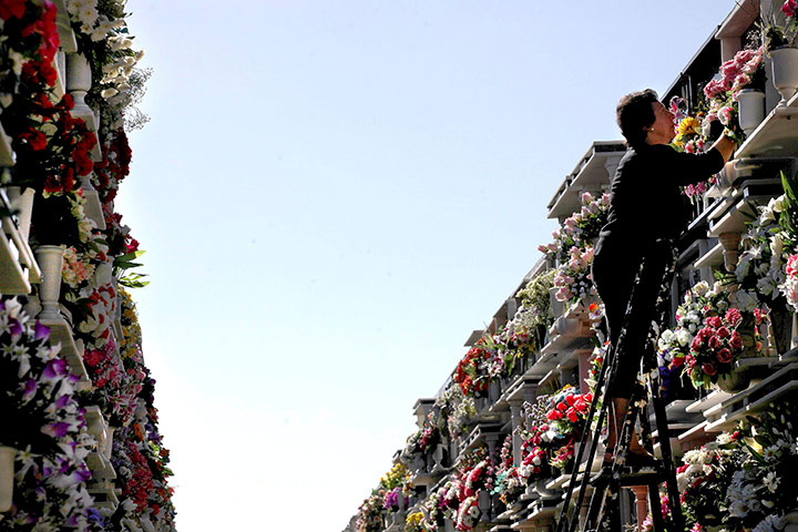All saints day: A woman lays flowers for her beloved ones at the cemetery in Algeciras