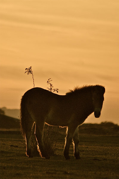 Green shoots: October flickr group on Autumn colours