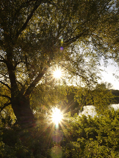 Green shoots: October flickr group on Autumn colours