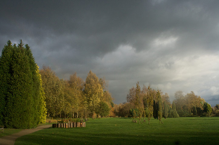 Green shoots: October flickr group on Autumn colours