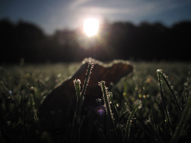 Green shoots: October flickr group on Autumn colours