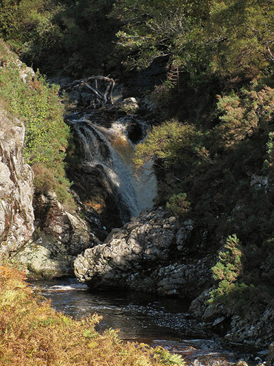 Green shoots: October flickr group on Autumn colours