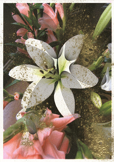 Secret exhibition: The RCA Secret exhibition is selling original postcard-sized art