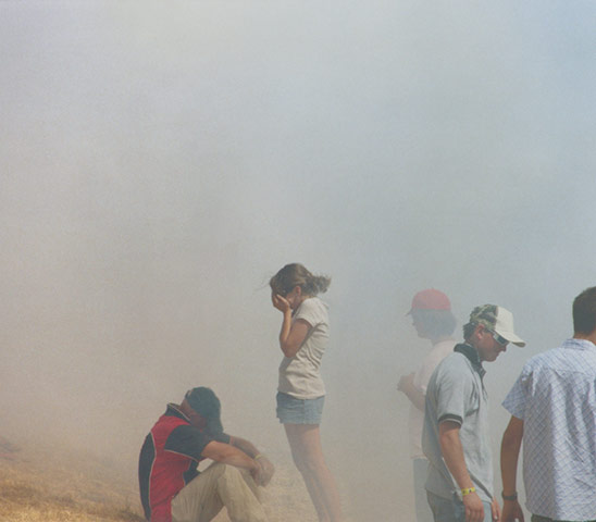 Angry Black Snake: Angry Black Snake