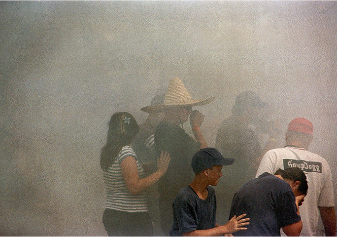 Angry Black Snake: Angry Black Snake5