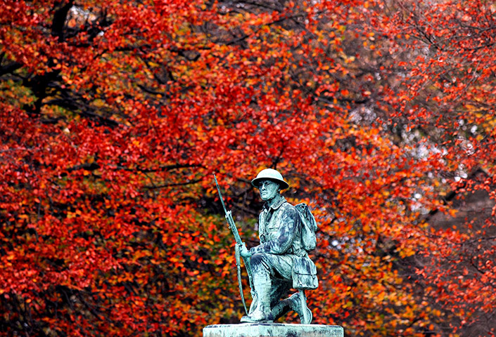 Remembrance day: Armistice Day