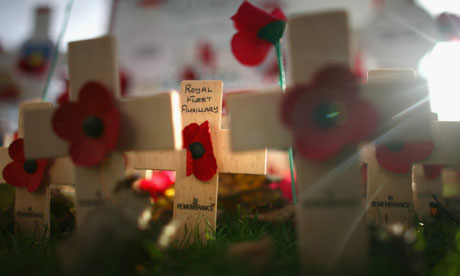 Poppies in a garden of remembrance on Armistice Day