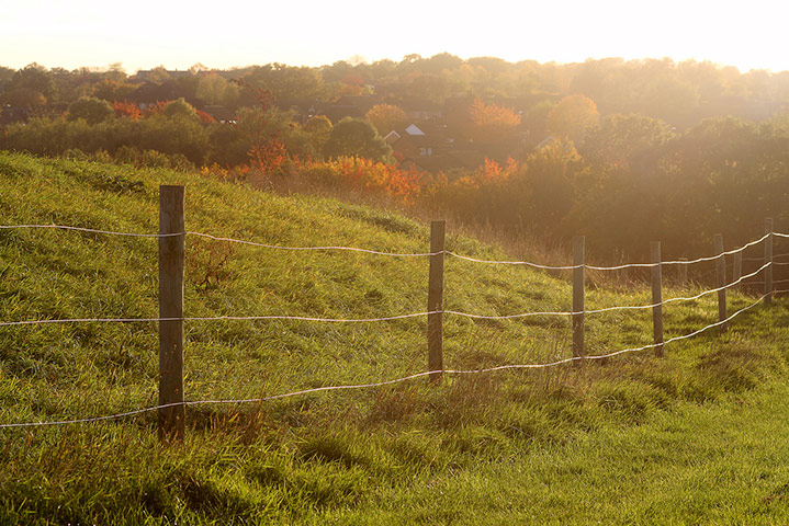 Matthew Phypers autumn: Matthew Phypers autumn assignment camera club