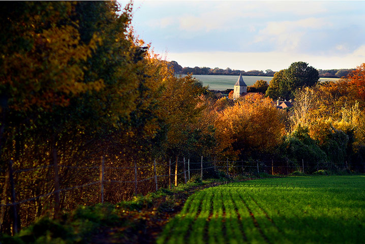 Matthew Phypers autumn: Matthew Phypers autumn assignment camera club