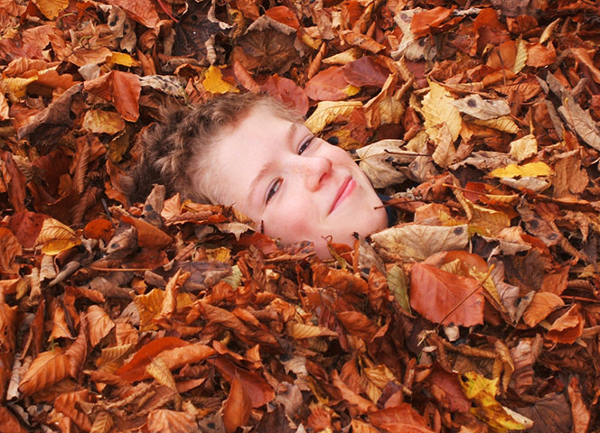 In Pictures: Orange: Boy in leaves