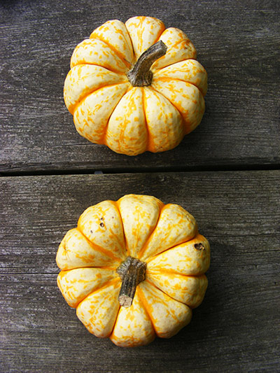 In Pictures: Orange: pumpkins