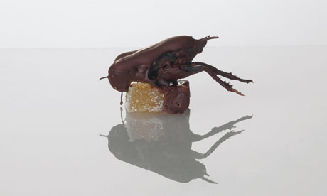 Banana Insects