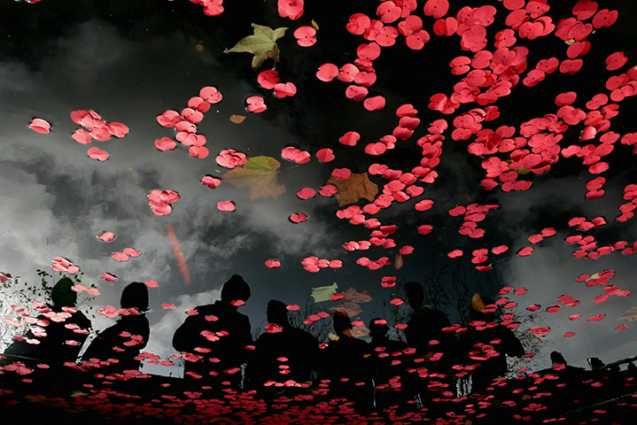 Remembrance day: armistice day is observed throughout the uk