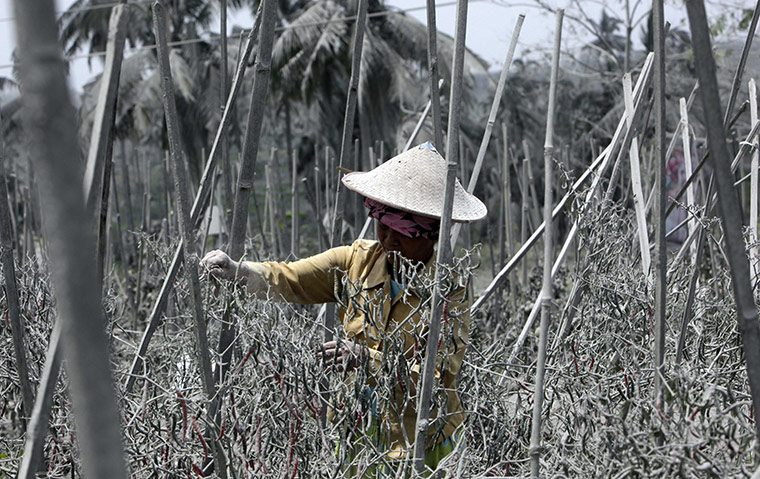 24 hours in pictures: A woman works on her farm covered in volcanic ash 