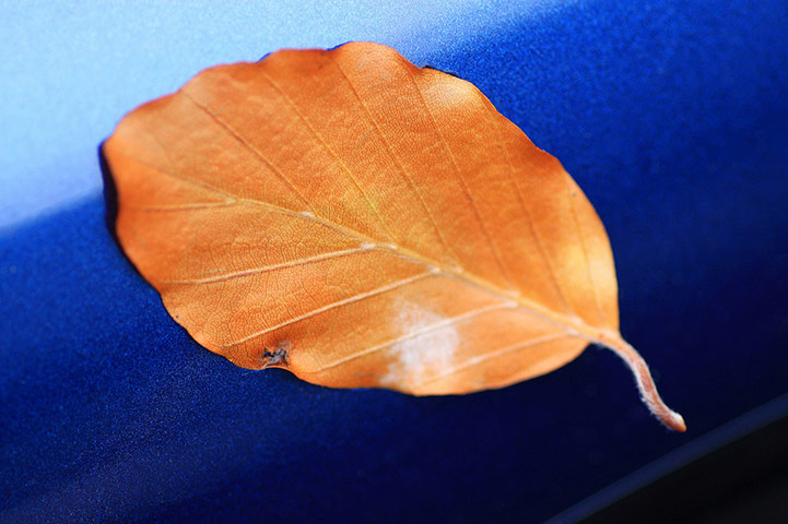 Guardian Camera Club: Richard Sheppard participates in the autumn colour photography assignment