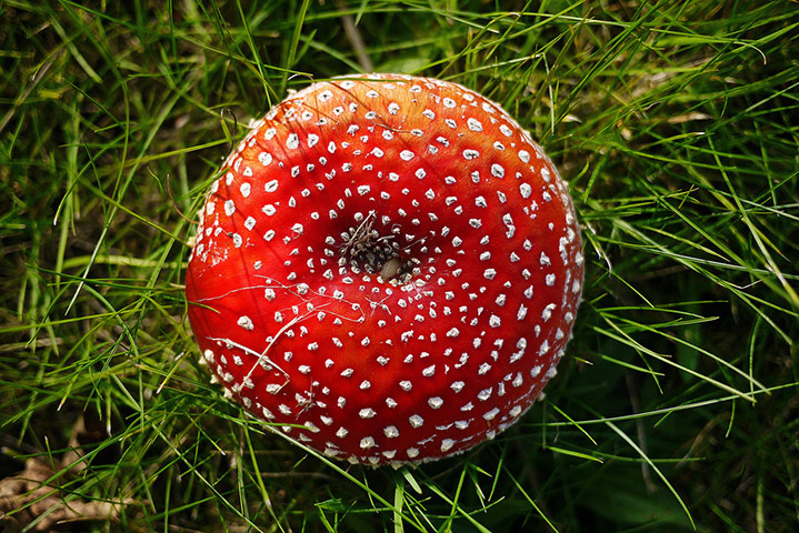 Guardian Camera Club: Richard Sheppard participates in the autumn colour photography assignment