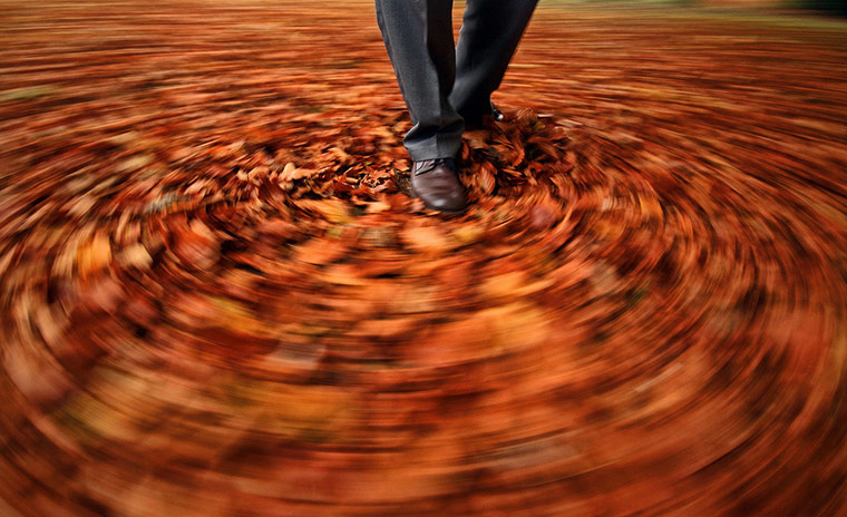 Guardian Camera Club: Richard Sheppard participates in the autumn colour photography assignment