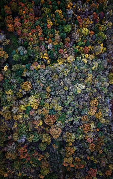 Guardian Camera Club: Richard Sheppard participates in the autumn colour photography assignment