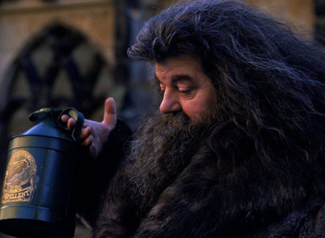 Harry Potter ageing: Harry Potter and the Chamber of Secrets (2002)