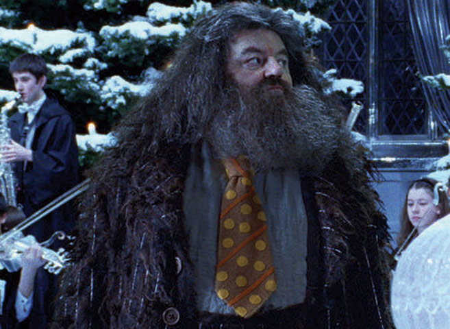 Harry Potter ageing: Harry Potter and the Goblet of Fire (2005)