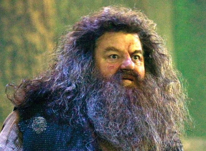 Harry Potter ageing: Harry Potter and the Order of the Phoenix (2007)