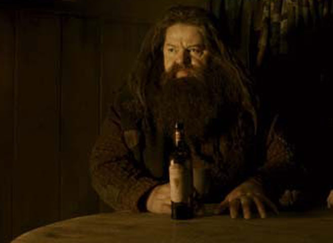 Harry Potter ageing: Harry Potter and the Half-Blood Prince (2009)